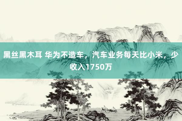 黑丝黑木耳 华为不造车，汽车业务每天比小米，少收入1750万