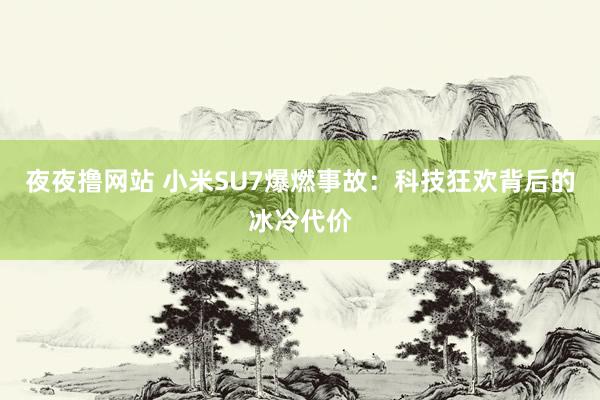 夜夜撸网站 小米SU7爆燃事故：科技狂欢背后的冰冷代价