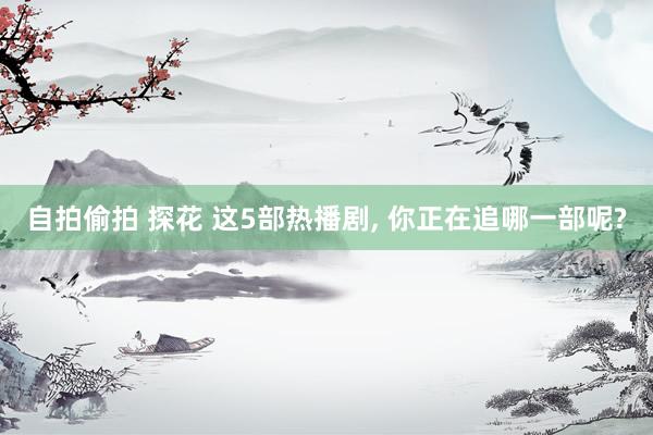 自拍偷拍 探花 这5部热播剧， 你正在追哪一部呢?