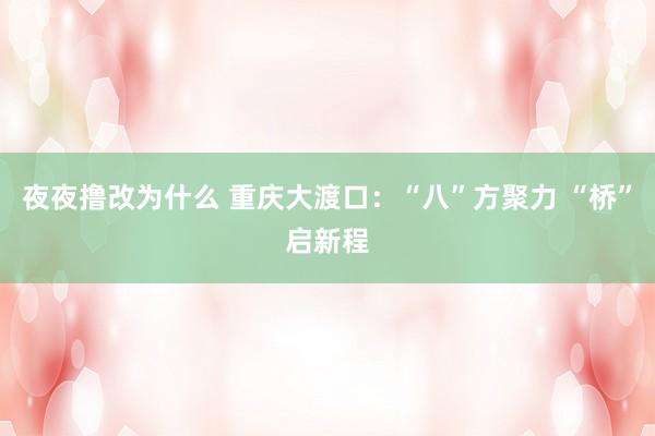 夜夜撸改为什么 重庆大渡口：“八”方聚力 “桥”启新程