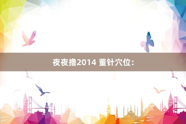 夜夜撸2014 董针穴位：