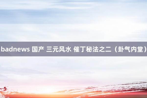 badnews 国产 三元风水 催丁秘法之二（卦气内堂）
