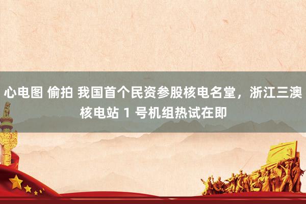 心电图 偷拍 我国首个民资参股核电名堂，浙江三澳核电站 1 号机组热试在即